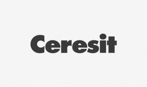 Помощь в обучении сотрудникам Ceresit (корпоративный университет церезит)